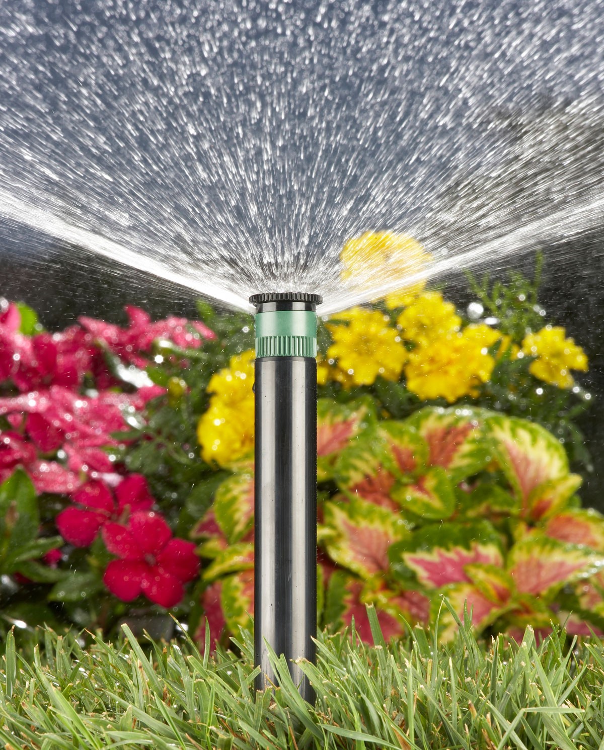 HUNTER PS Ultra Series Irrigatore A Spruzzo – Modello PSU045SS Da 10,2 Cm (4") Con Ugello Pro Regolabile E Doppia Filtrazione