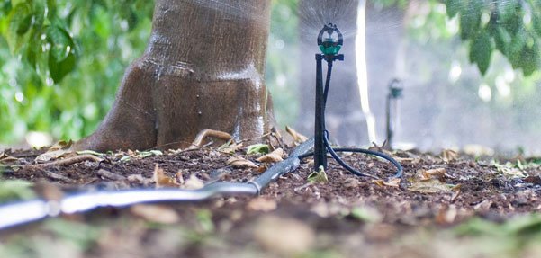 Mini irrigatore rotante kit su stand