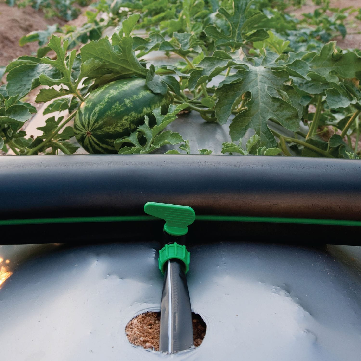 Kit-2 irrigazione orto