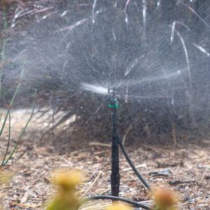 mini sprinkler on spike